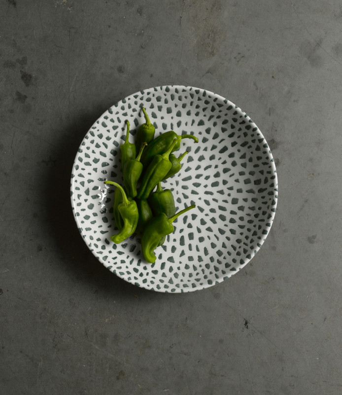 Assiette coupe plate rond vert porcelaine vitrifiée Ø 28,8 cm Terrazzo Dudson